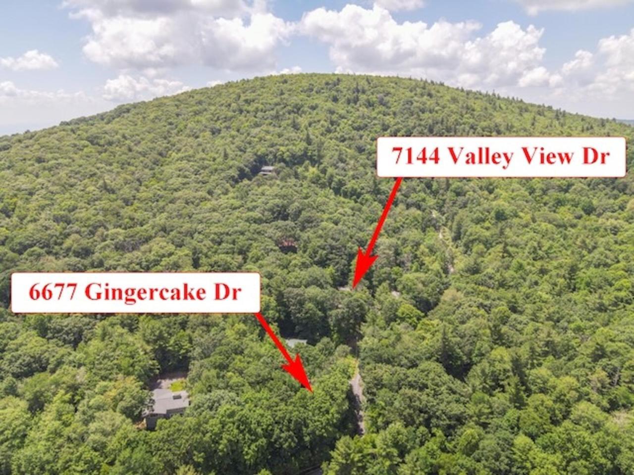 Gingercake Mtn Cottage At Linville Gorge - Wood Burning Fireplace Linville Falls Luaran gambar
